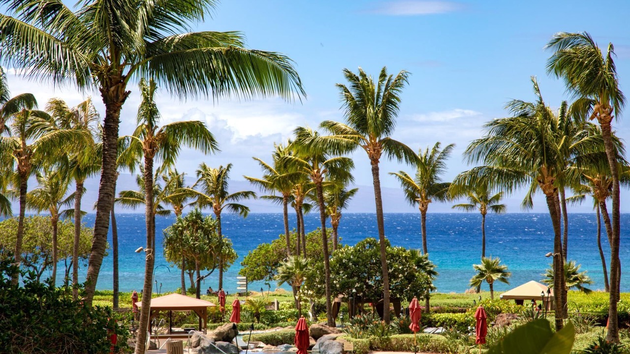 Photo of Outdoor in Honokowai