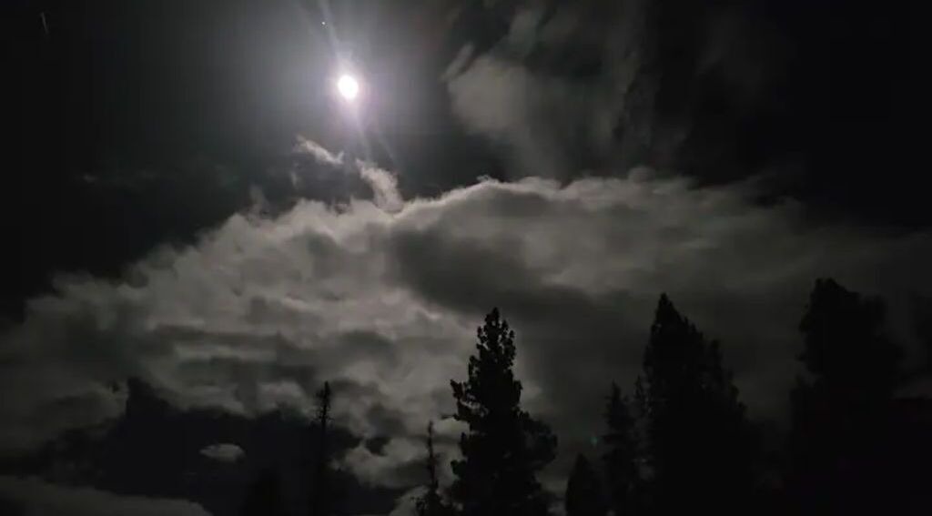 Photo of Others in Ponderosa