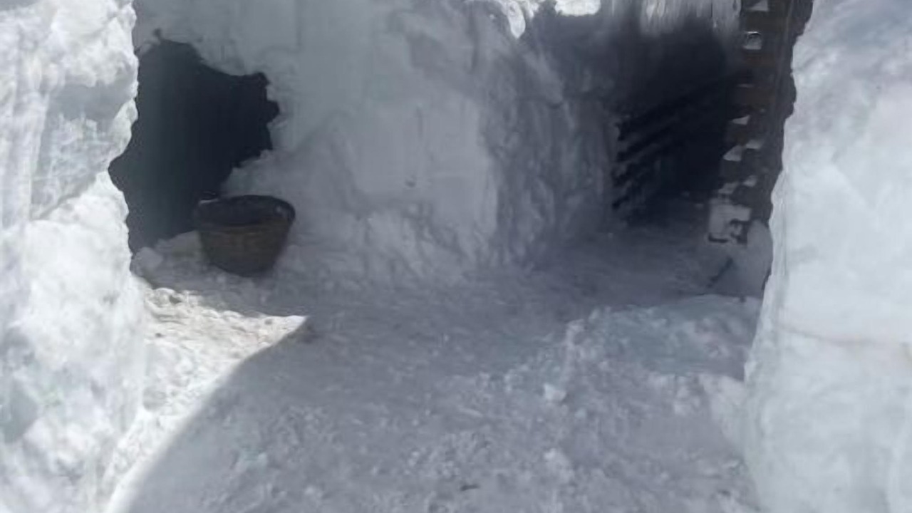 Photo of Outdoor in Ponderosa