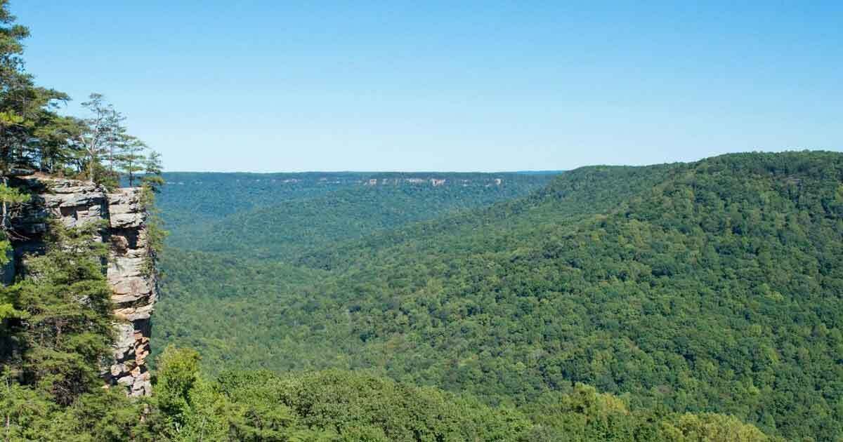Photo of Others in Monteagle