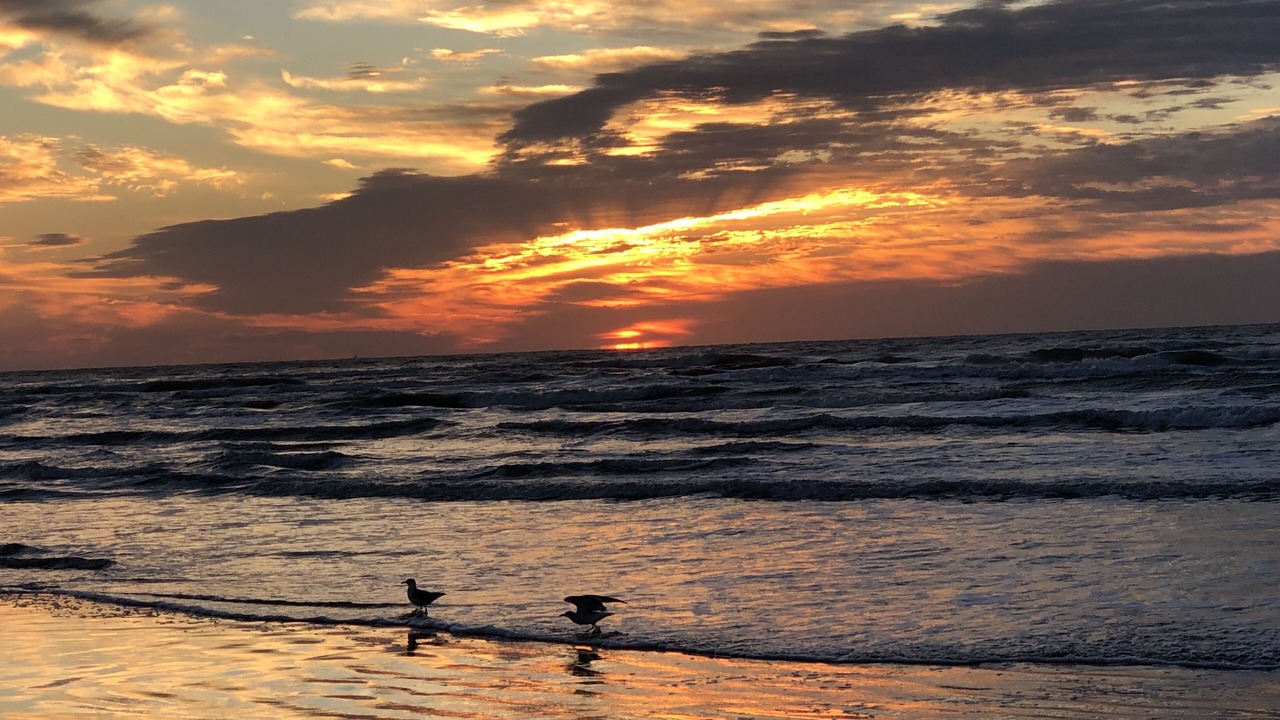 Photo of Others in Beachside Village
