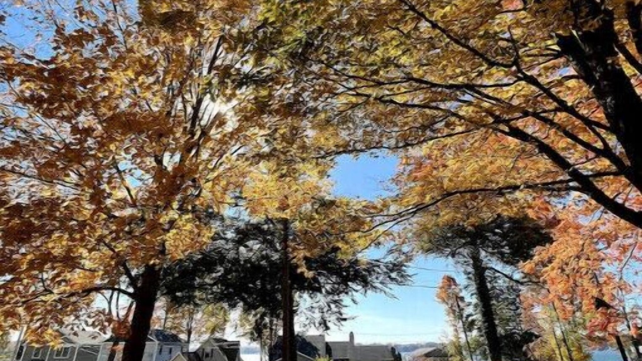 Photo of Outdoor in Dowagiac