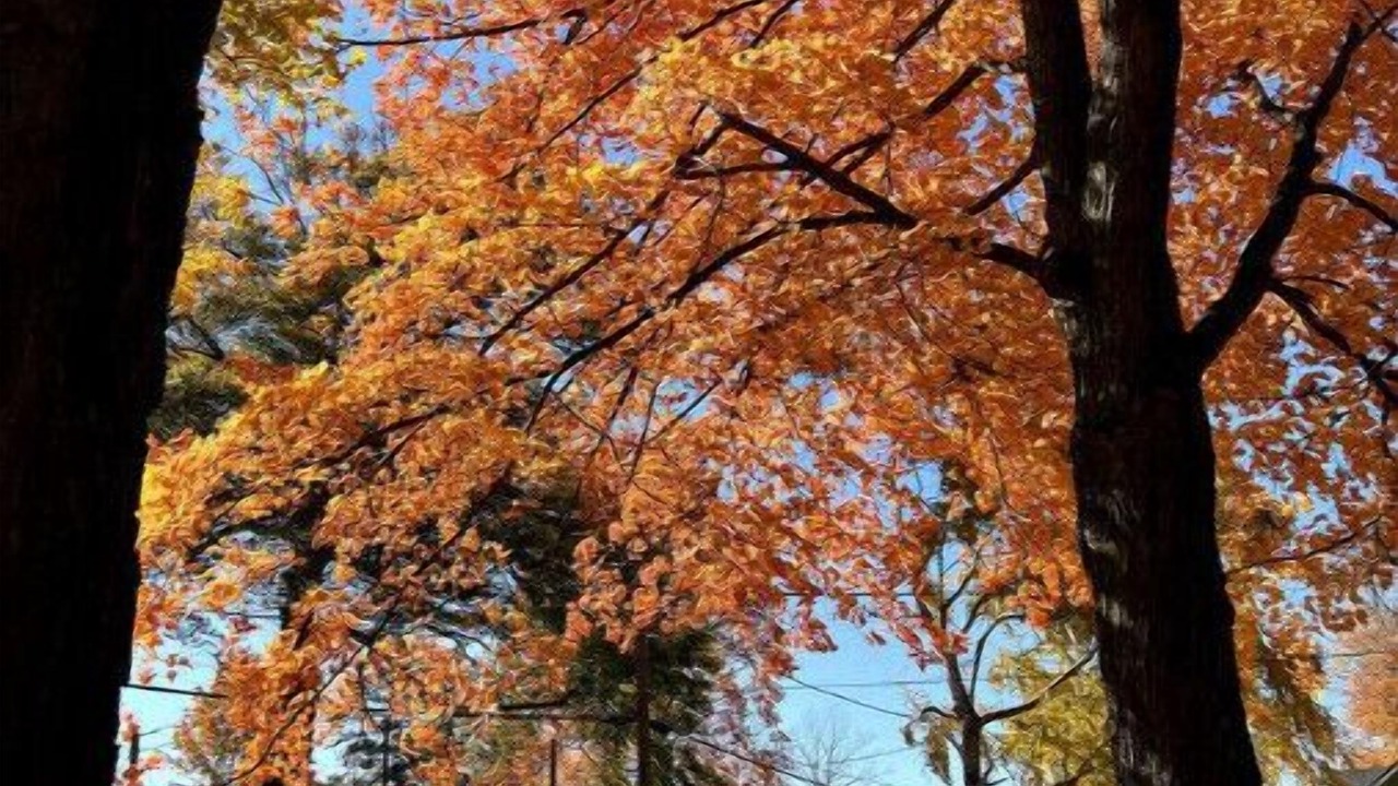 Photo of Outdoor in Dowagiac