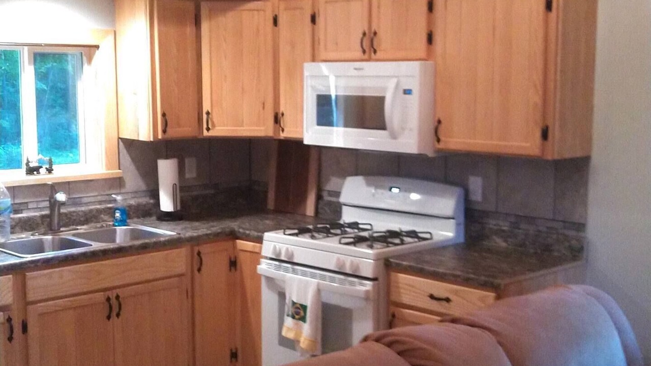Photo of Kitchen in Dansville