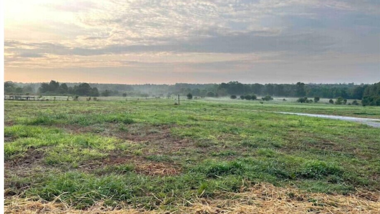 Photo of Outdoor in Lake Oconee