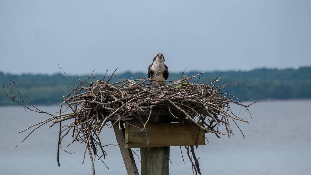 Photo of Others in Rock Point