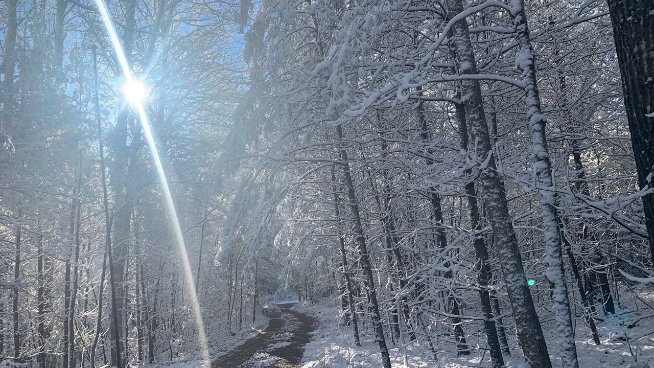 Photo of Outdoor in Elgin