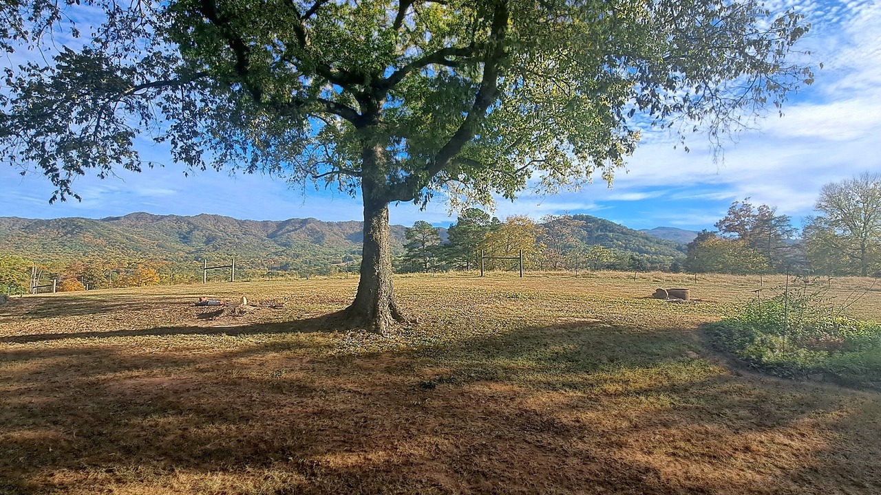 Photo of Outdoor in Newport