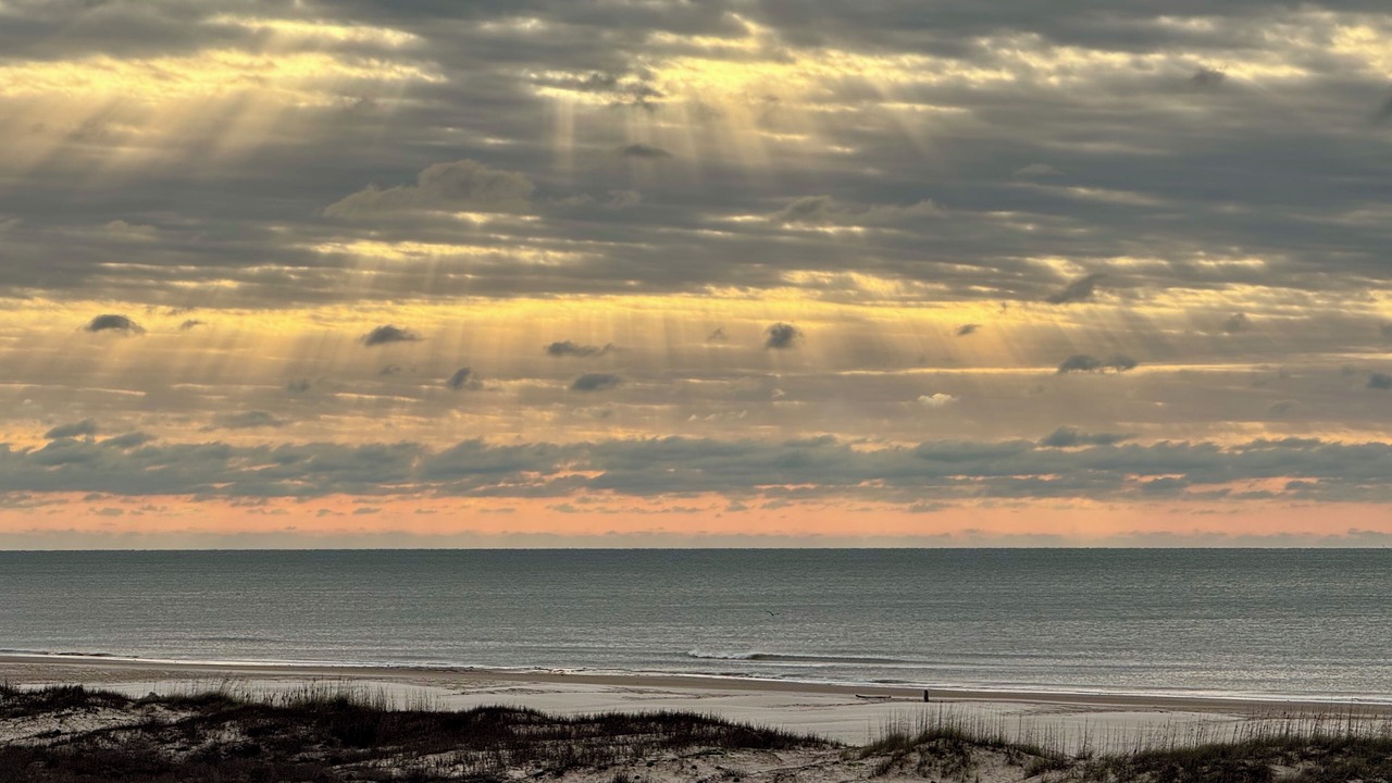 Photo of Others in Matagorda
