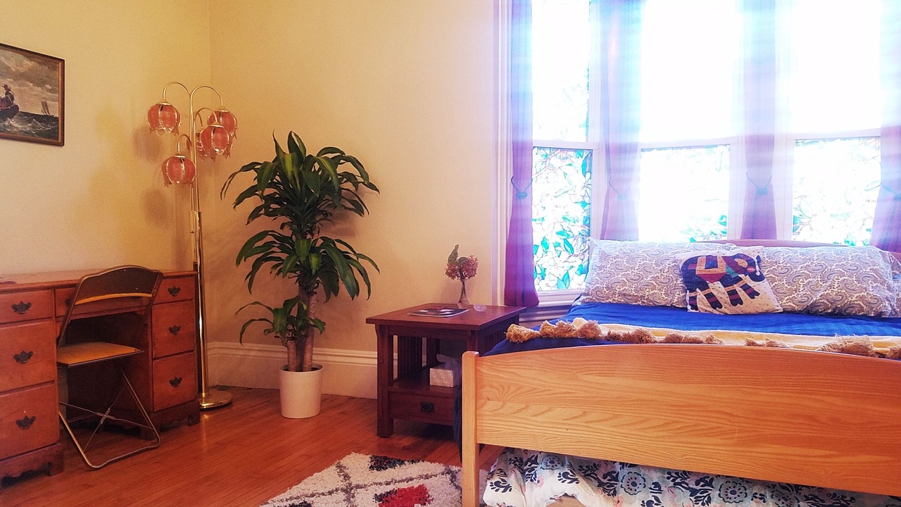 Photo of Bedroom in Dudley Square