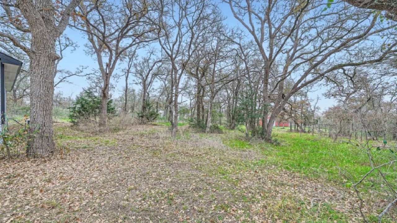 Photo of Others in Cedar Creek