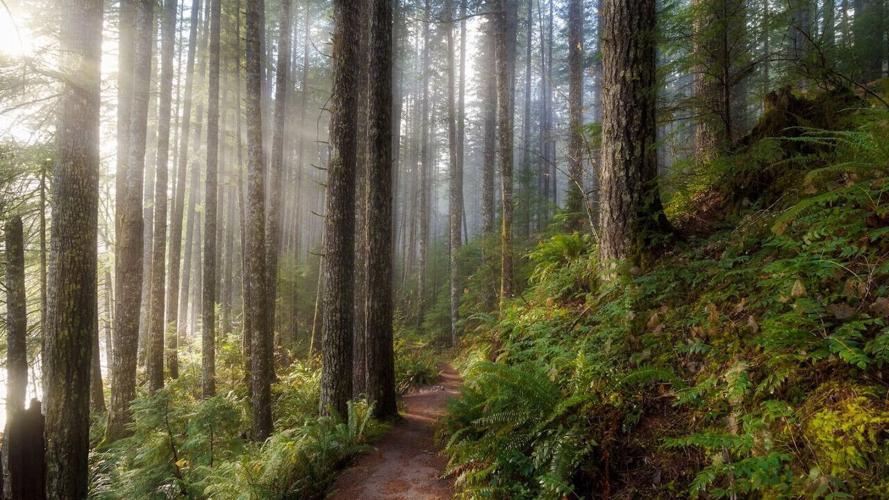 Photo of Others in Anacortes