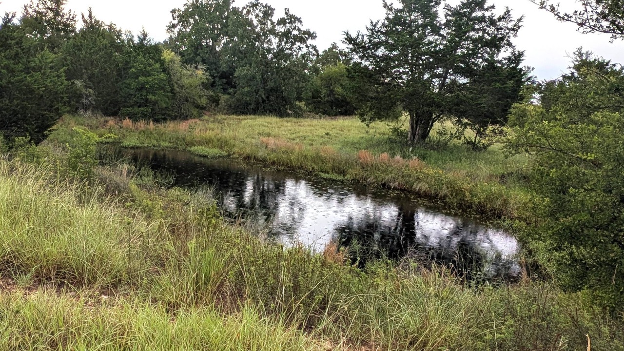 Photo of Others in Cedar Creek