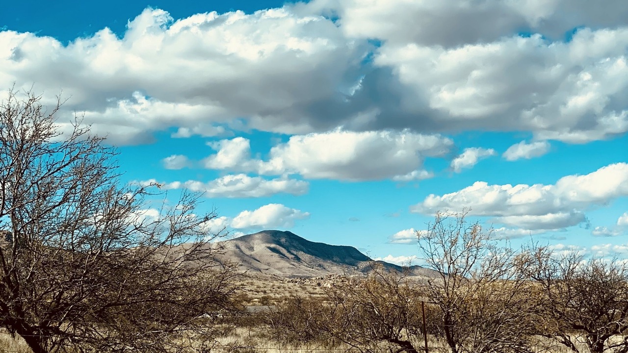 Photo of Outdoor in Pearce