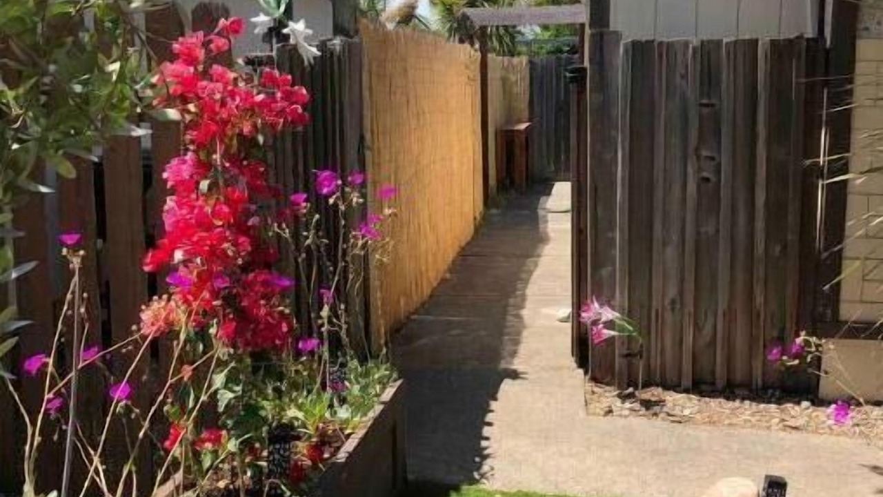 Photo of Outdoor in Novato