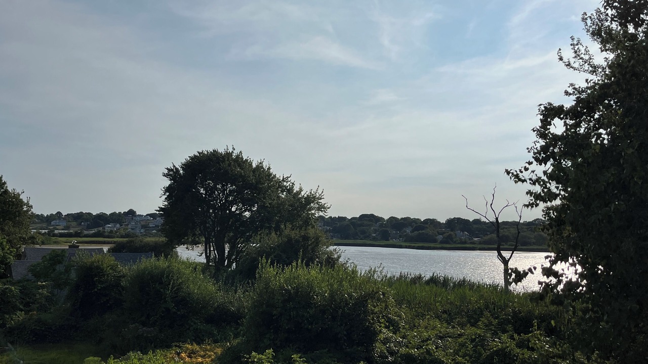 Photo of Others in Bonnet Shores