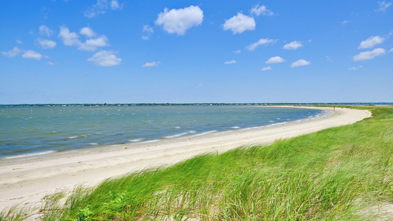 Photo of Others in West Hampton Dunes