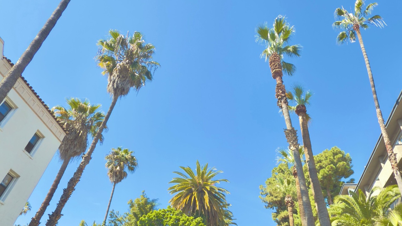 Photo of Outdoor in Hollywood