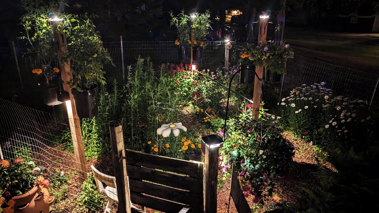Photo of Outdoor in Phelps