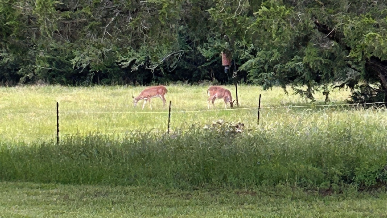 Photo of Others in Hearne