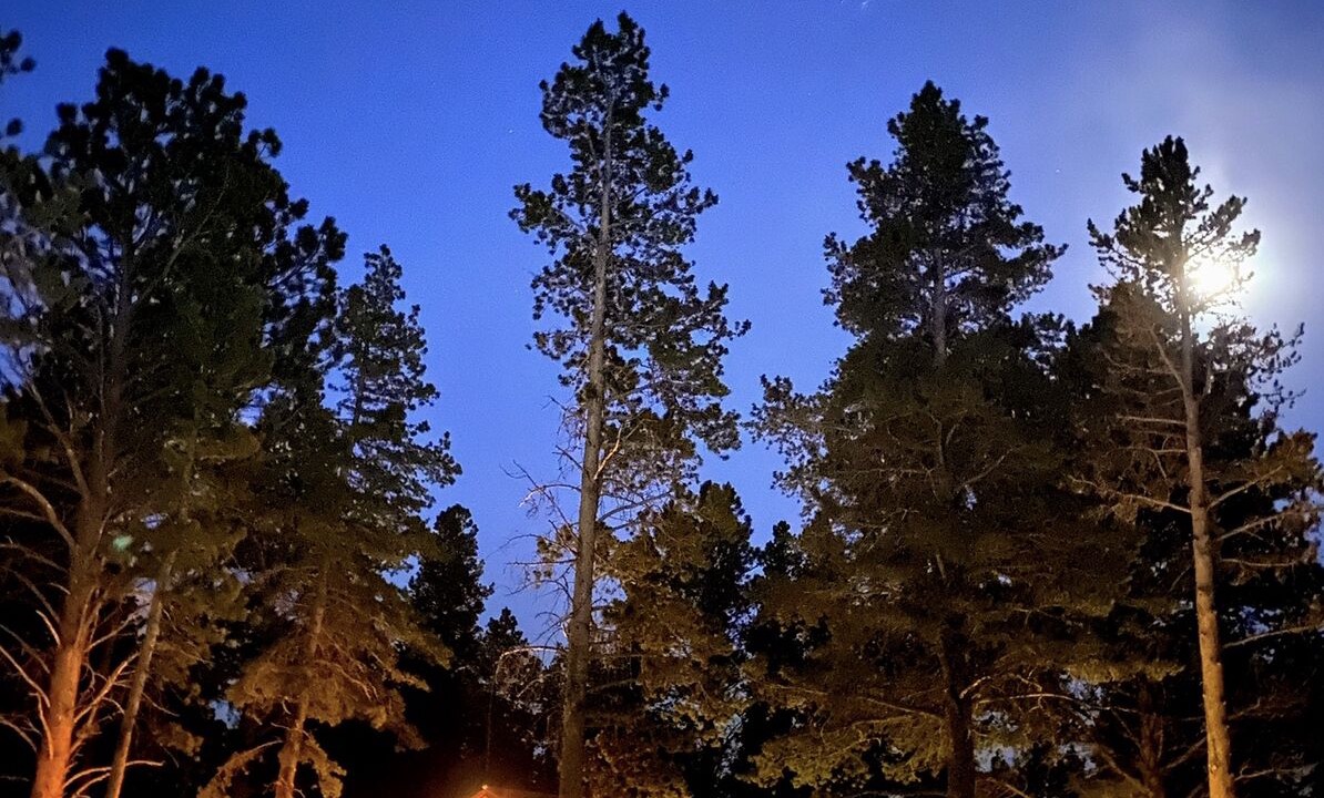Photo of Others in Allenspark