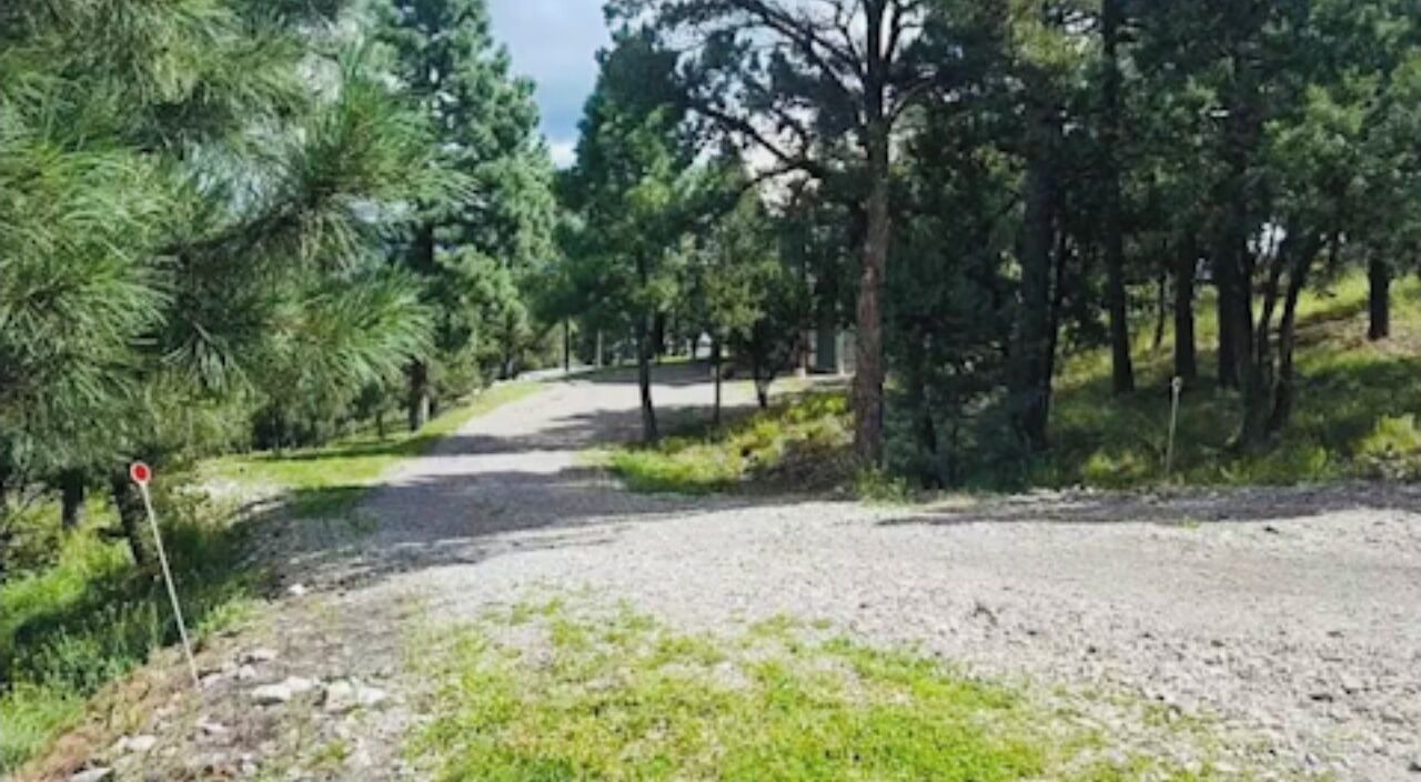 Photo of Others in Ruidoso Downs