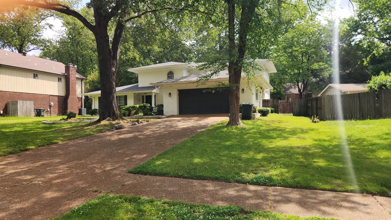 Photo of Outdoor in Cordova