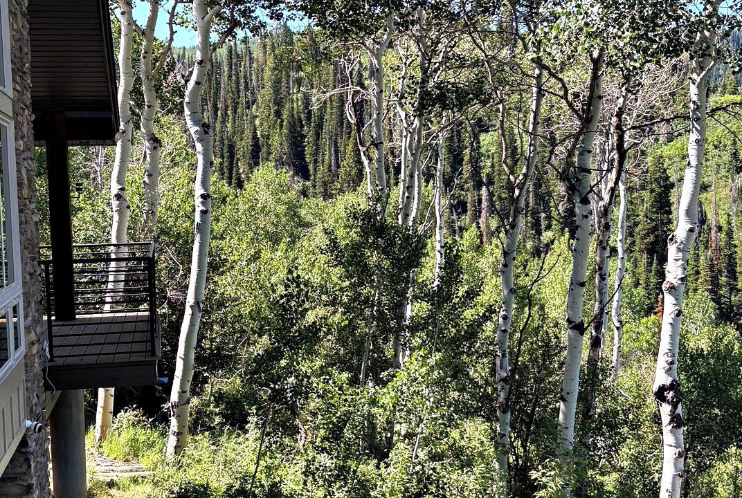 Photo of Outdoor in Timber Lakes