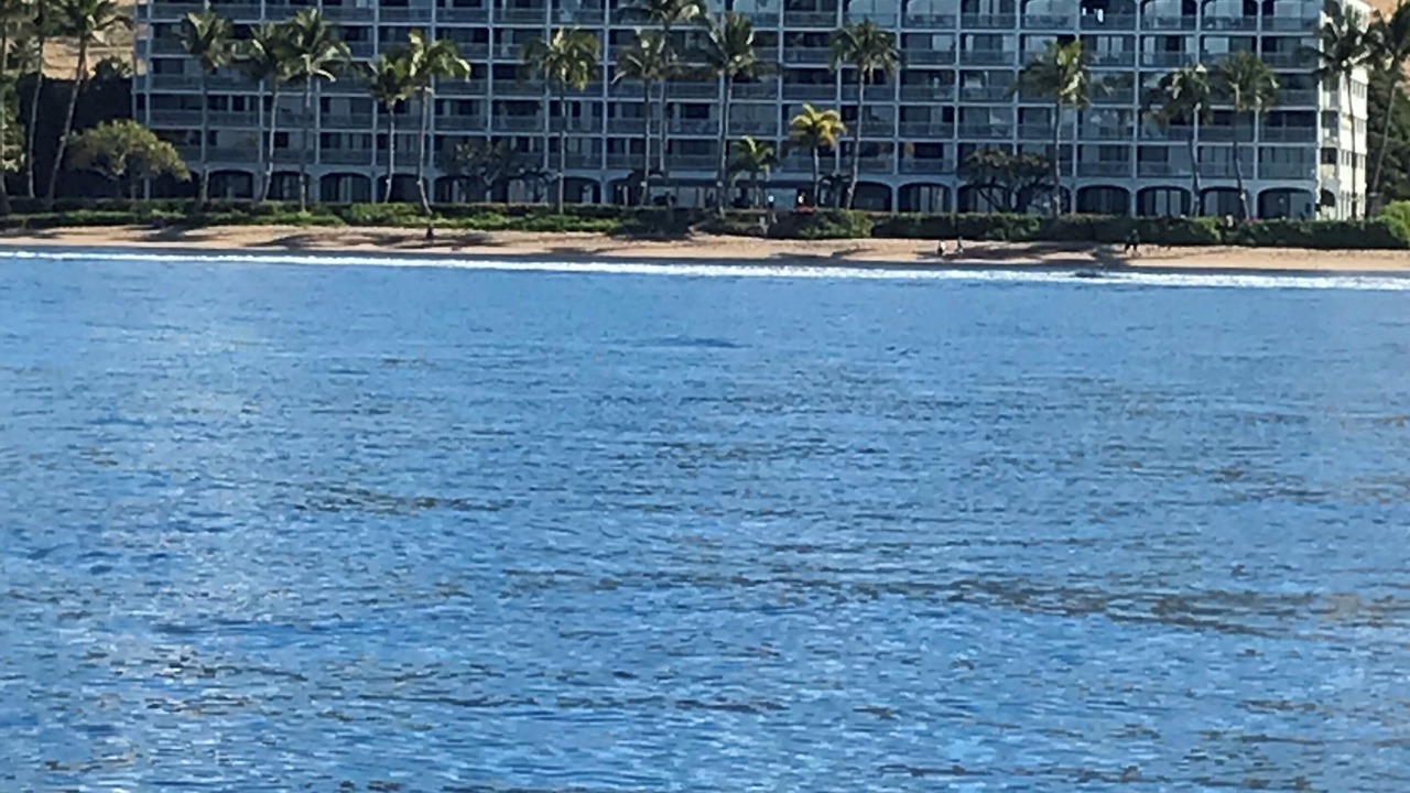 Photo of Outdoor in Historic Lahaina Front Street