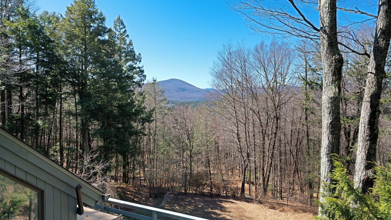 Photo of Outdoor in Shady