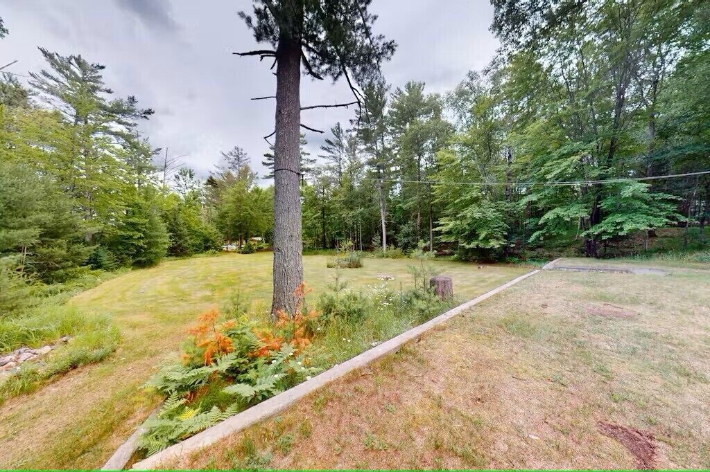 Photo of Outdoor in Arbor Vitae