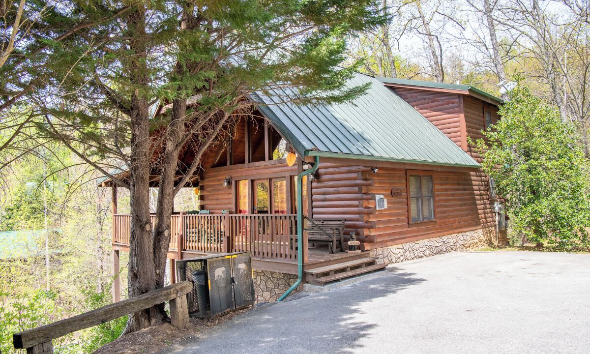 Photo of Outdoor in Black Bear Falls