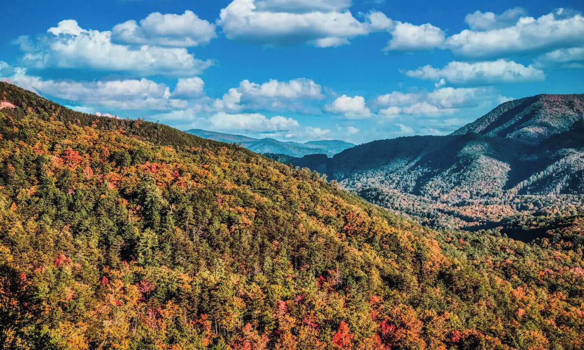 Photo of Outdoor in Black Bear Falls