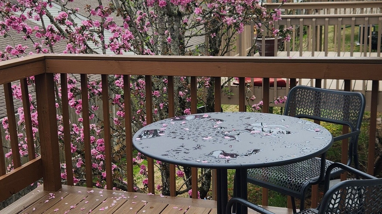Photo of Outdoor in Powell