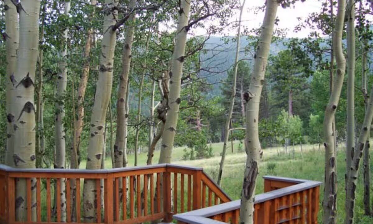 Photo of Outdoor in Allenspark