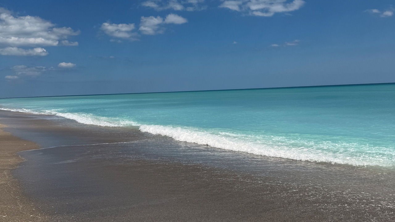 Photo of Others in Hobe Sound