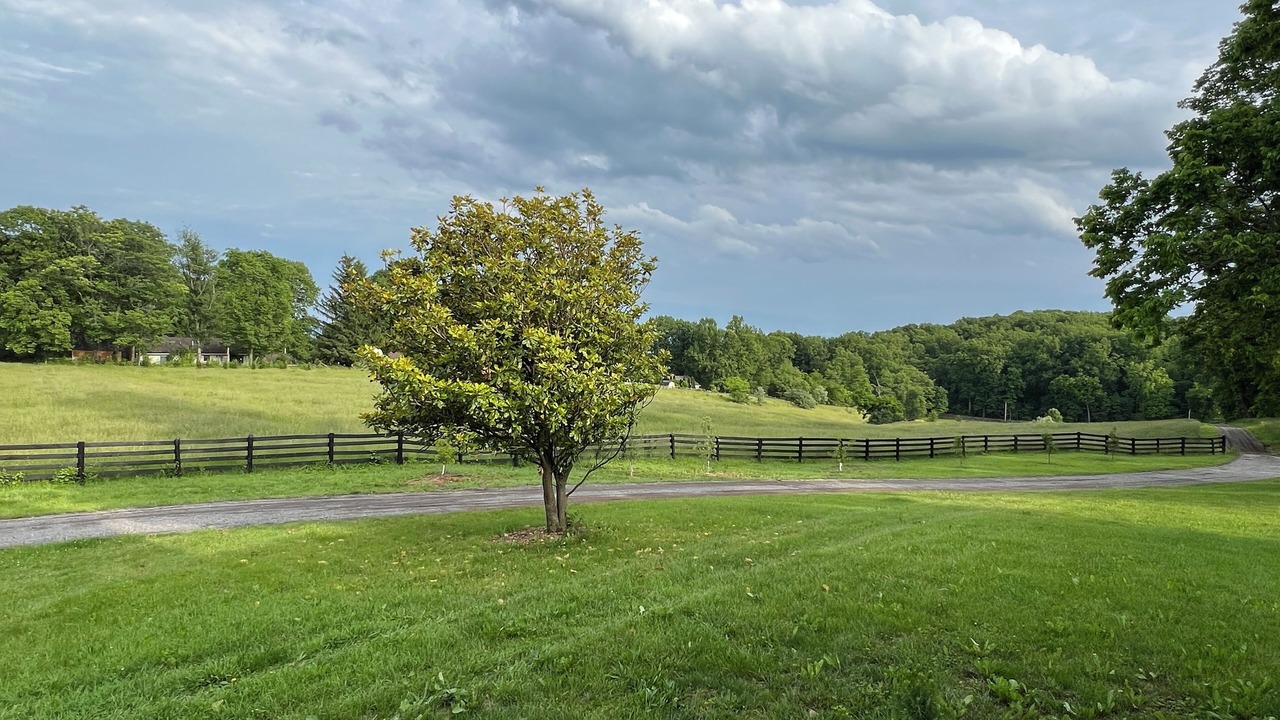 Photo of Outdoor in Ridgeway