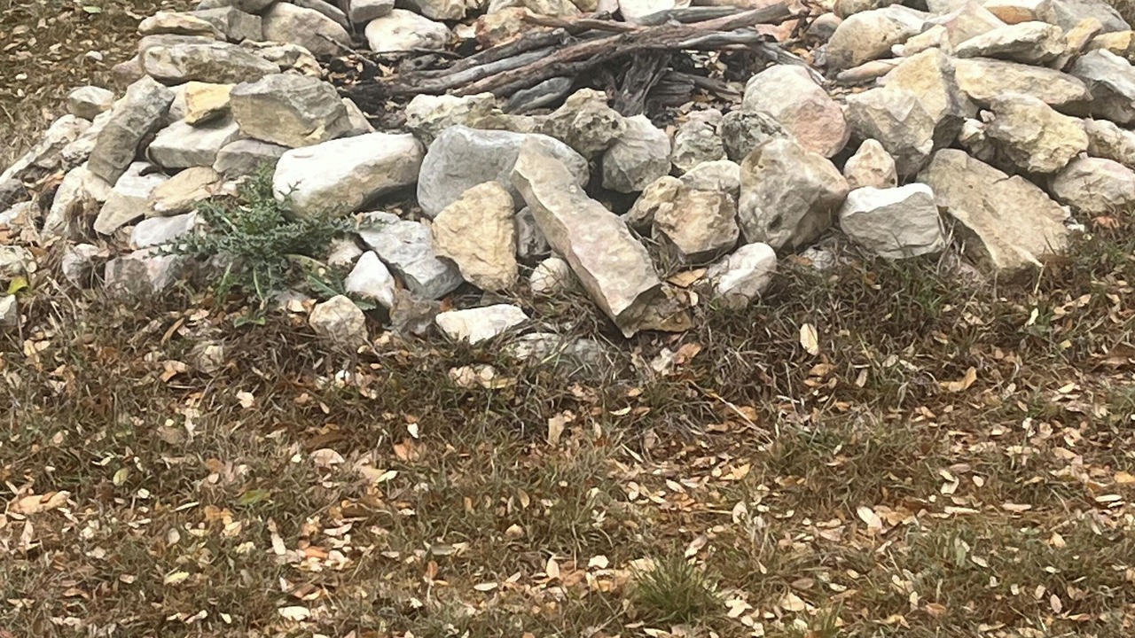 Photo of Others in Leakey