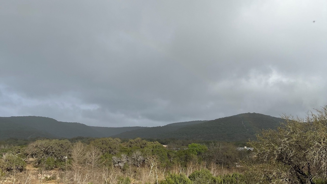 Photo of Others in Leakey