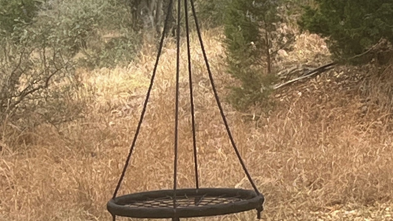 Photo of Others in Leakey