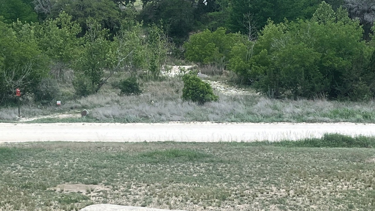 Photo of Others in Leakey