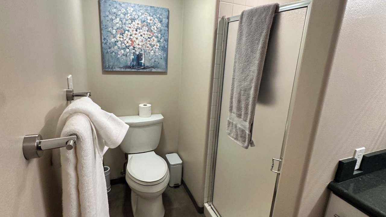 Photo of Bathroom in LoDo