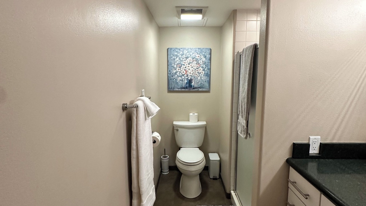 Photo of Bathroom in LoDo