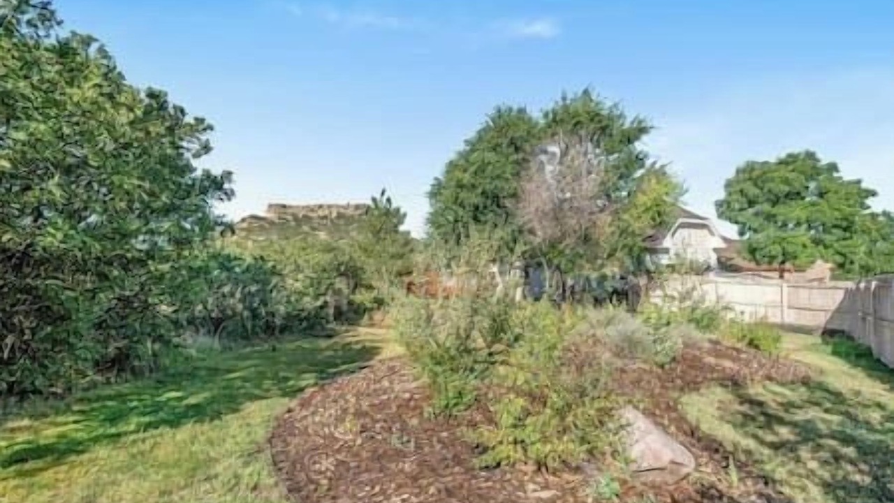 Photo of Outdoor in Castle Rock