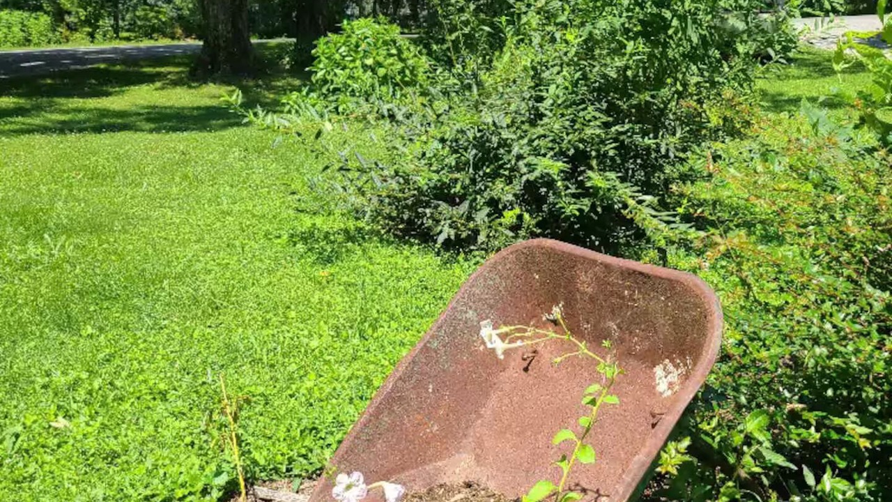 Photo of Outdoor in Pikeville