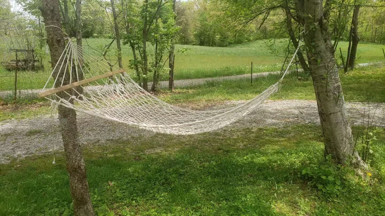 Photo of Outdoor in Pikeville