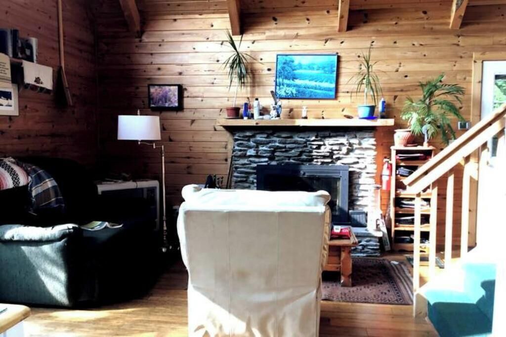 Photo of Livingroom in Fleischmanns