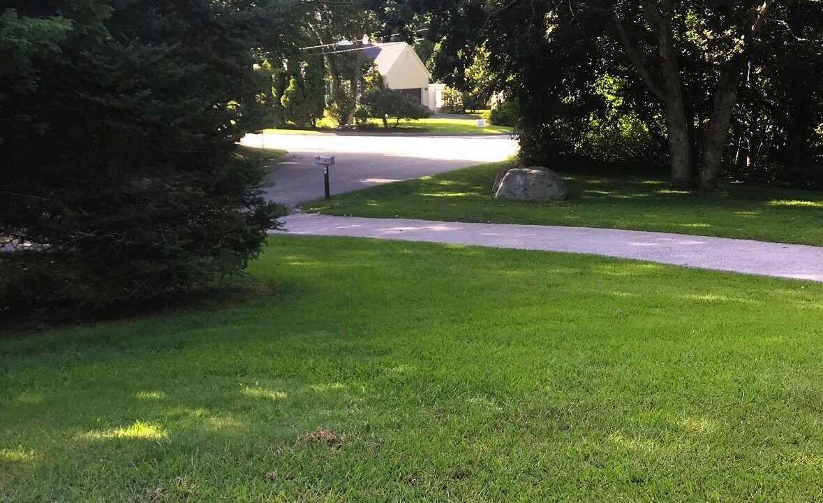 Photo of Others in Westerly
