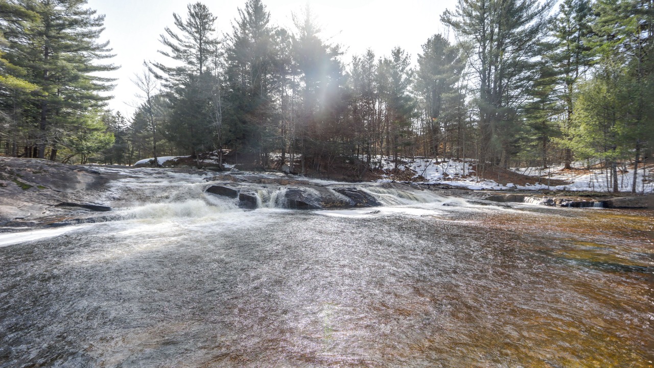 Photo of Others in Forestport