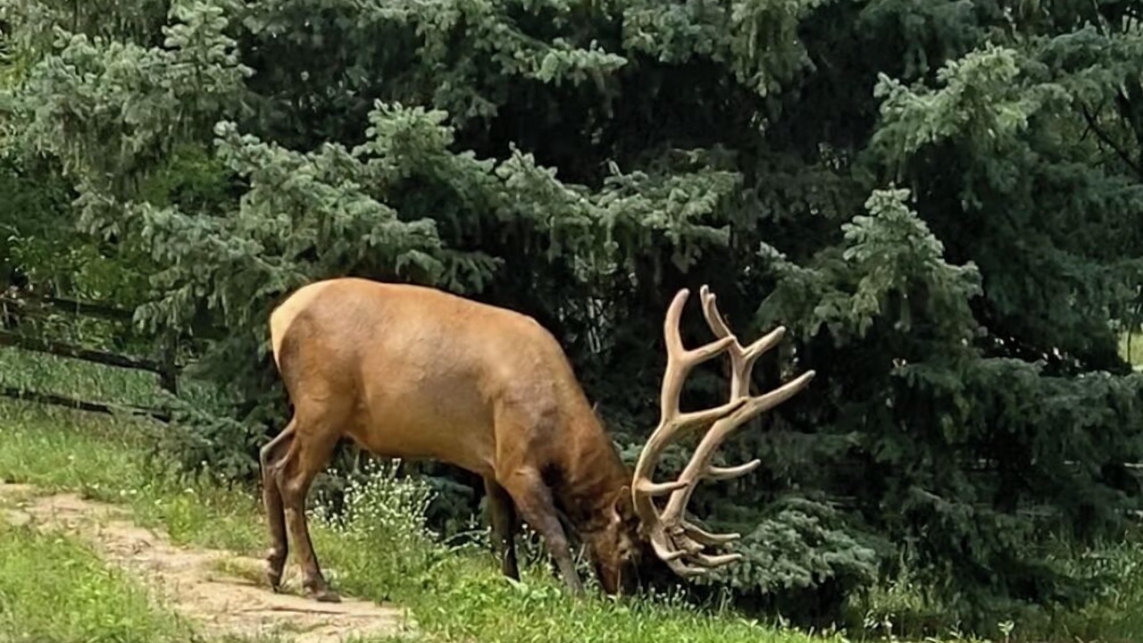 Photo of Others in Indian Hills